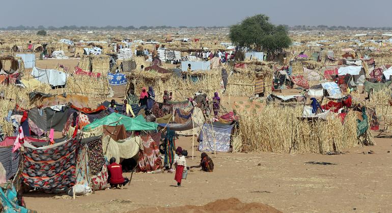 فرّ الآلاف من الفاشر والمناطق المحيطة بها، ووصل الكثيرون إلى منطقة الطويلة بعد مسيرة استمرت لأيام تحت تهديد العنف.